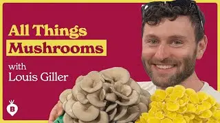 Growing Incredible Mushrooms with Louis Giller | The Beet