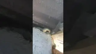 Uşak Güneyyaka evleri