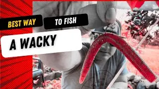 Best Hook for WACKY RIG Fishing 🔥 🪝 🔥