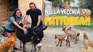 DORMIAMO IN UN POSTO MERAVIGLIOSO!! 🐣🫏 (Spagna-italia a piedi)