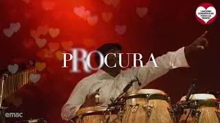 Chichi Peralta  -   Procura   / letra