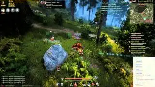 Black Desert. Нужно выдохнуть после первой осады на России