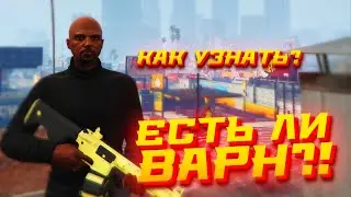 КАК Узнать ЕСТЬ ли ВАРН в ГТА 5 РП или НЕТ? | КАК Посмотреть НАЛИЧИЕ ВАРНА в GTA 5 RP?