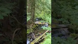 Pulaski Tunnel Trail Hike Aug. 10, 2024