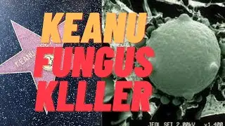 Badass Fungus Killer Named After Keanu Reeves For A Good Reason