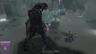 Zombie Arbiter? - Halo 2