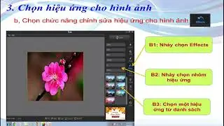 Tin học 4 - Chỉnh sửa ảnh với phần mềm Fotor