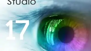 Урок 17 - Удаление звука из видео Pinnacle Studio udalenie zvuka iz video