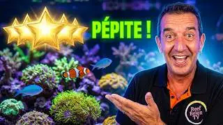Go fast coral, Halte chez histoires d'eaux