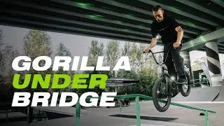 GORILLA UNDER BRIDGE | HIGHLIGHTS