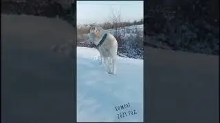 4 февраля 2021 г.