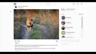 Instagram Tutorial: How to move around your Profile