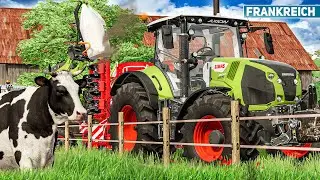 LS22 Frankreich #17: Ein KUHSTALL für den Hof! | LANDWIRTSCHAFTS SIMULATOR 22