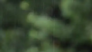 Fall into Sleep Within 5 Minutes with Heavy Rain & Thunder