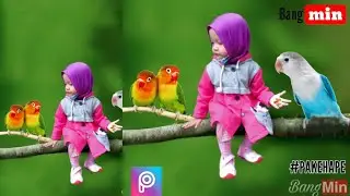 LOVE BIRD _ edit foto _manipulasi _picsart