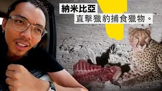 《納米比亞·非洲自駕 ep3》直擊獵豹捕食獵物！