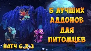 Топ 5 аддонов для питомцев