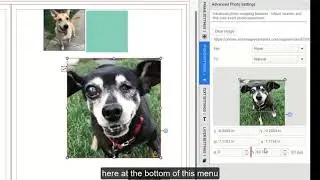 Using the Advanced Menu in EDOnline