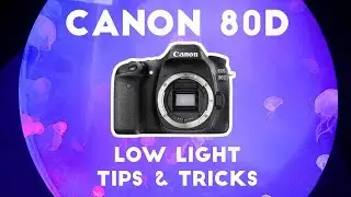 Canon 80D Low Light Tips and Tricks for Video