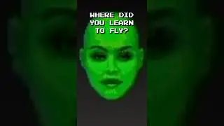 Where Did You Learn to Fly?