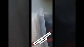 Шанельки едут к покупателям