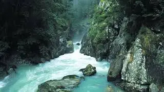 Nature 🌿🍃Amazing 1080p Full Hd Drone Shooting