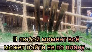 Разбираем старый, страшный сарай. Что нас ждёт?!
