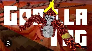all about gorillatag what is gorillatag?