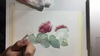 Red gumtree flower (eucalyptus) painting