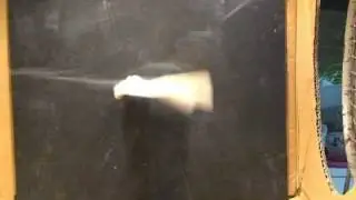 BIRD WING EN WIND TUNNEL