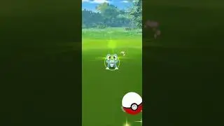 Froakie brining home the XP!
