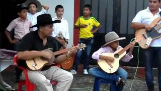 grandes bandolistas