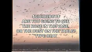 $UICIDEBOY$ - Are You Going to See the Rose... TYPE BEAT