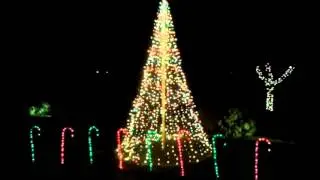 2012 Christmas Light Show - Mega Tree