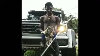(FREE) [GUITAR] NBA Youngboy Type Beat "Tiger Stripes" 2024