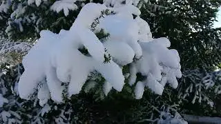 Зима в Италии