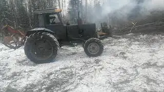 Два мтз 82 на делянке двигают кучу тонкомера