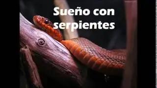 Sueño con serpientes, Silvio Rodríguez (versión)