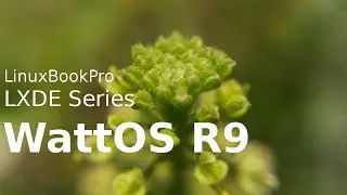 WattOS R9 - Five Minute Disto Preview