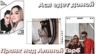Ася Митронина съезжает от Алины| Реакция Алины Горб | ПАЦАНКИ 5