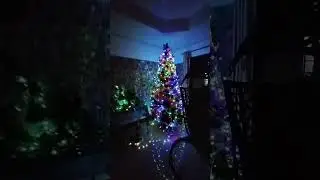 Pasko