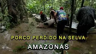 CAPTURING THE PIG IN THE AMAZON JUNGLE - VIDEO 29