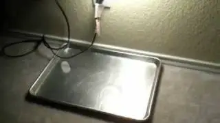 Flea remedy