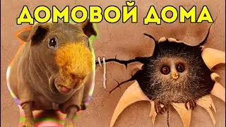 МИСТИКА ДОМА. СВИНКИ ВИДЯТ ДОМОВОГО