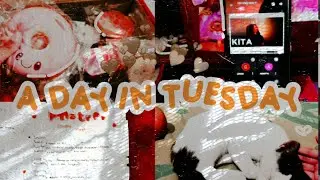 🤎🌷A day in Tuesday - Aktivitas di hari Selasa " Gabut edition " | Ind 🤎🌷