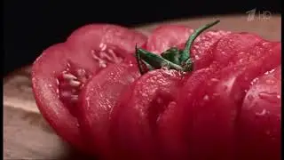 Реклама KFC Шефбургер
