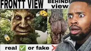 Offense Memes that if YLYL