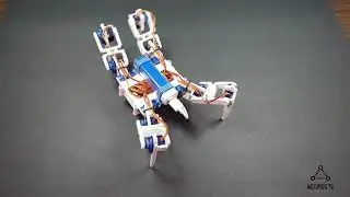 Ардуино робот идет / Arduino robot walks (sexual motions)