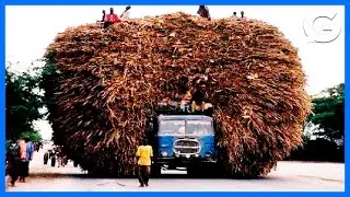 Fastest and Skillful Workers