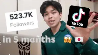 500k followers on tiktok for 5 months (No bulls**t) | My content creating journey 😱